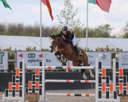 Cavallo da salto Faithfull (KWPN (Warmblood olandese), 2004, di For Keeps)