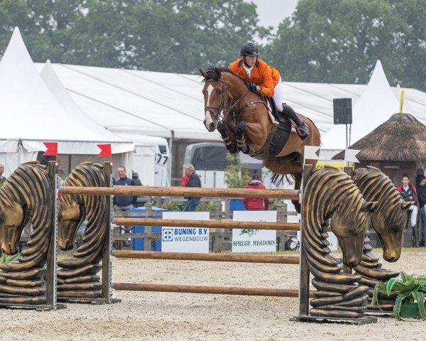 jumper Casander (KWPN (Royal Dutch Sporthorse), 2007, from Lord Z)