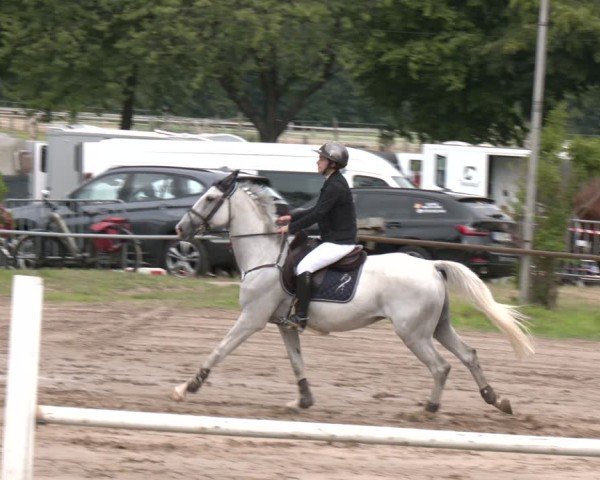 Reitturnier Neuss-Uedesheim 2025
