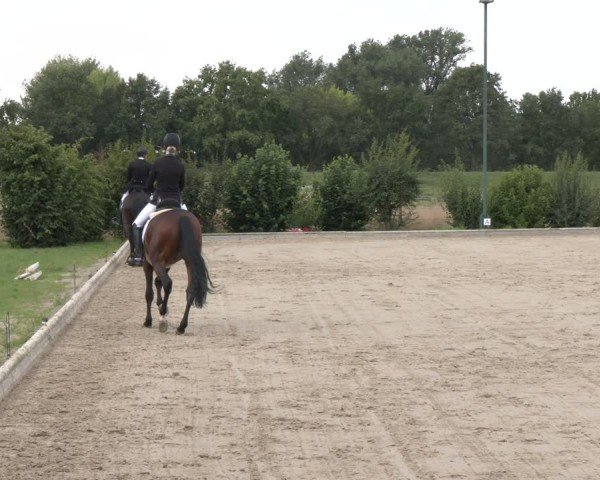 Reitturnier Neuss-Uedesheim 2025