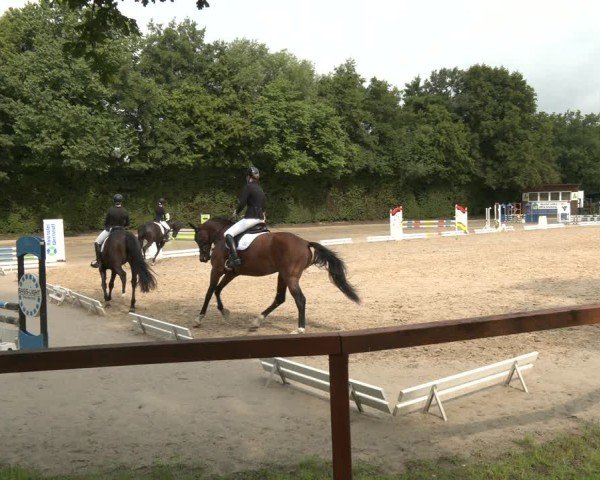 Reitturnier Arnsberg-Holzen 2025