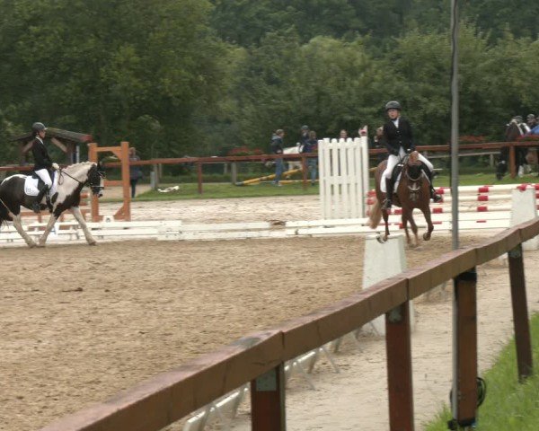 Reitturnier Arnsberg-Holzen 2025