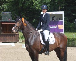 Cavallo da Dressage Forrest Girl MW (Westfale, 2020, di Felissimo)