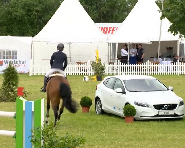 Großer Preis von Isernhagen 2014