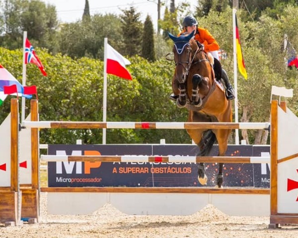 Zuchtstute Fiarabo (KWPN (Niederländisches Warmblut), 2010, von Diarado)