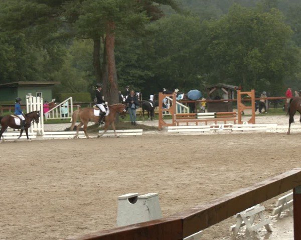 Reitturnier Arnsberg-Holzen 2025