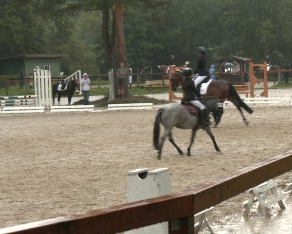 Reitturnier Arnsberg-Holzen 2025