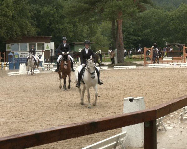 Reitturnier Arnsberg-Holzen 2025