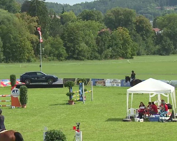 Reitturnier Bad Kissingen/Ufr. 2025