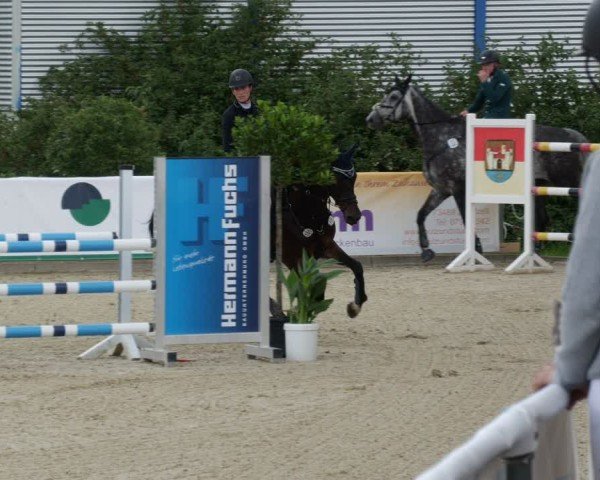 Reitturnier Jagstzell 2025