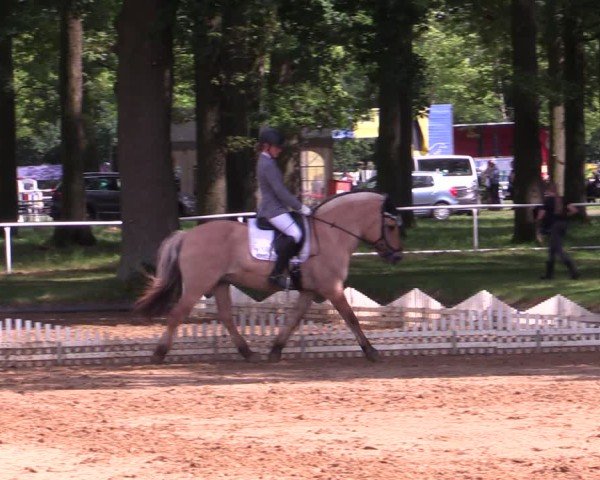 Reitturnier Zobbenitz 2025