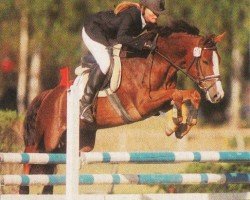 Springpferd Park's Tamina (New-Forest-Pony, 1996, von Feldhof's Orator)