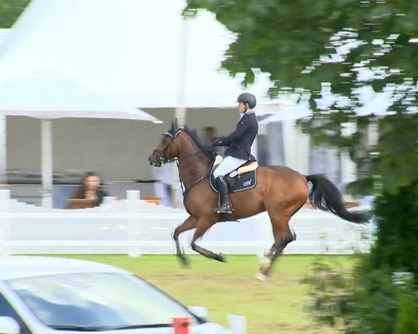 Großer Preis von Isernhagen 2014