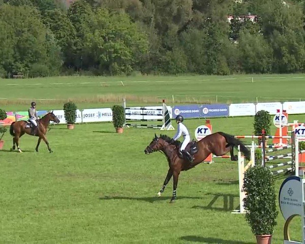 Reitturnier Bad Kissingen/Ufr. 2025