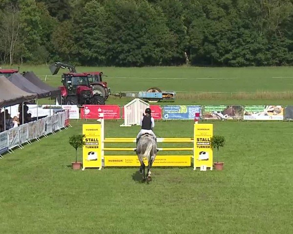 Reitturnier Bad Kissingen/Ufr. 2025