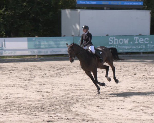 Reitturnier Alvern 2025