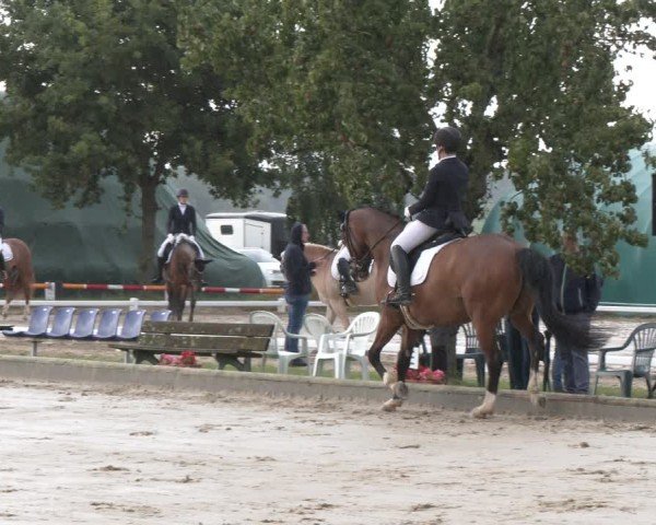 Reitturnier Neuss-Uedesheim 2025