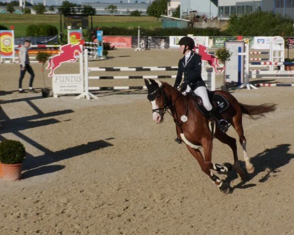 Reitturnier Jagstzell 2025
