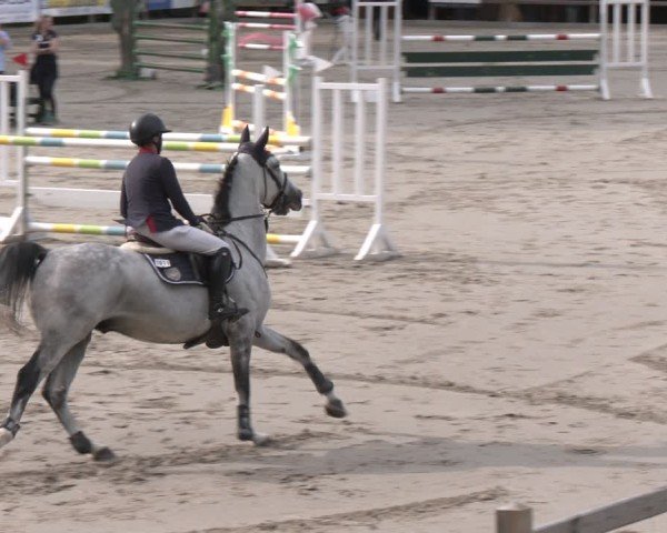 Reitturnier Alvern 2025