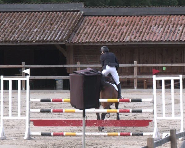 Reitturnier Alvern 2025