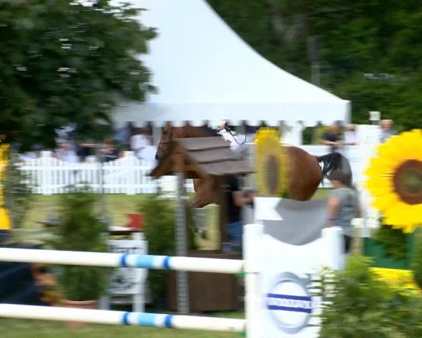 Großer Preis von Isernhagen 2014