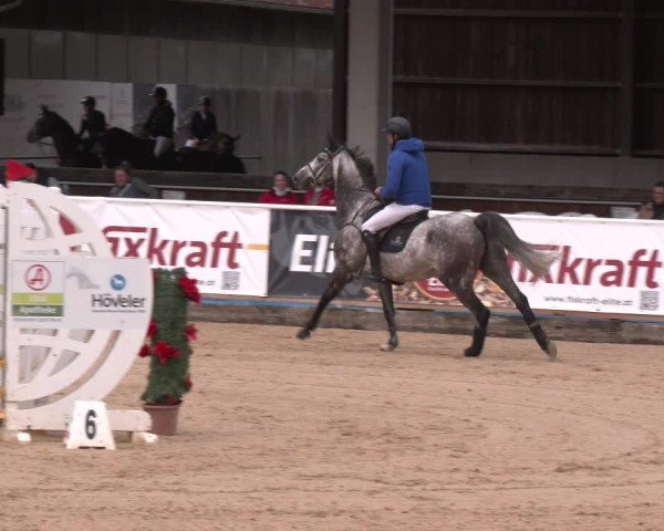 Reitturnier Ranshofen - Braunau am Inn 2025