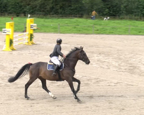 Reitturnier Gossau 2025