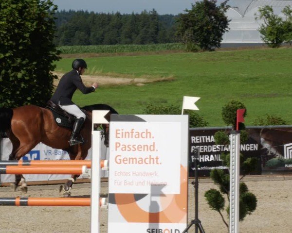 Reitturnier Jagstzell 2025
