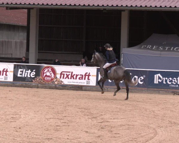 Reitturnier Ranshofen - Braunau am Inn 2025