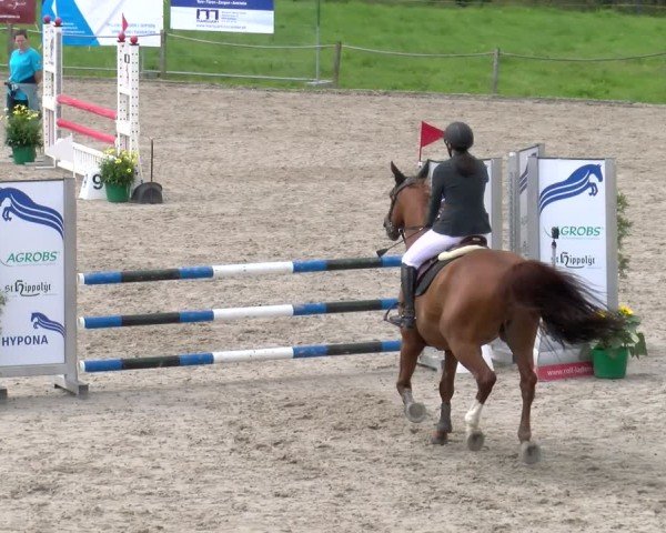 Reitturnier Gossau 2025