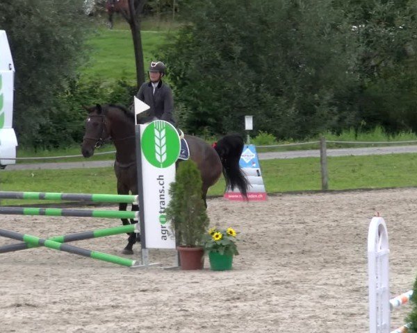 Reitturnier Gossau 2025