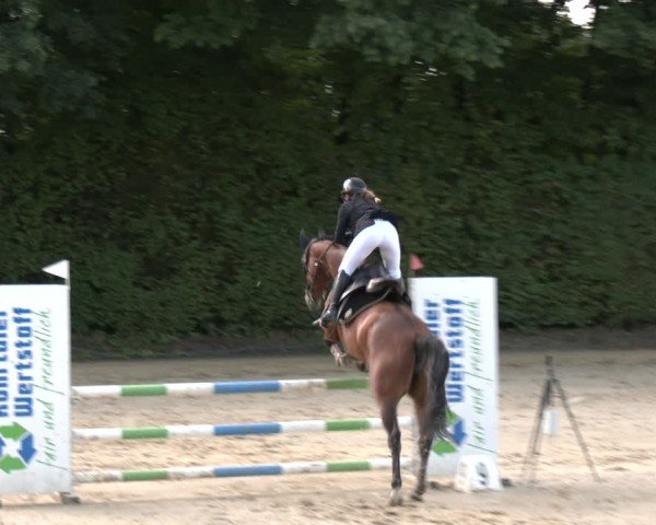 Reitturnier Arnsberg-Holzen 2025