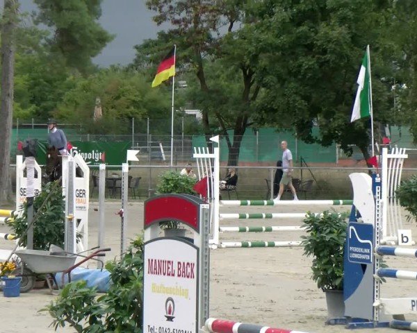 Reitturnier Mannheim-Friedrichsfeld 2025