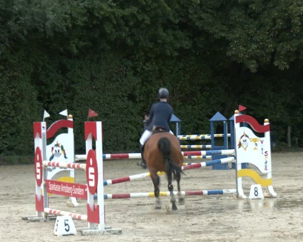 Reitturnier Arnsberg-Holzen 2025