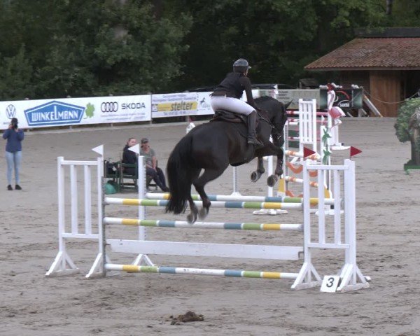Reitturnier Alvern 2025