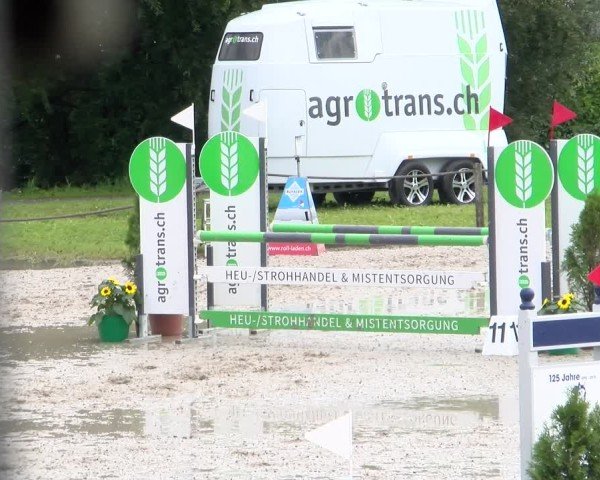 Reitturnier Gossau 2025