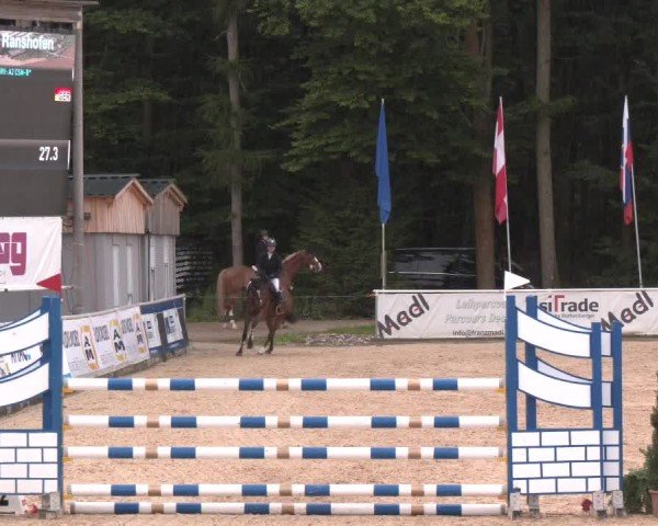 Reitturnier Ranshofen - Braunau am Inn 2025