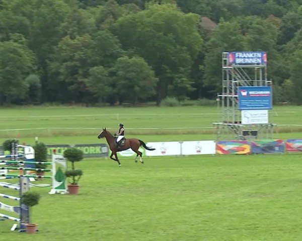 Reitturnier Bad Kissingen/Ufr. 2025