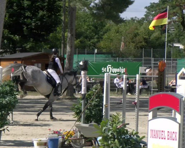 Reitturnier Mannheim-Friedrichsfeld 2025
