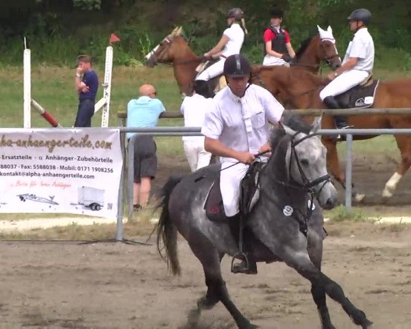 Großes Heidenheimer Reitturnier 2014