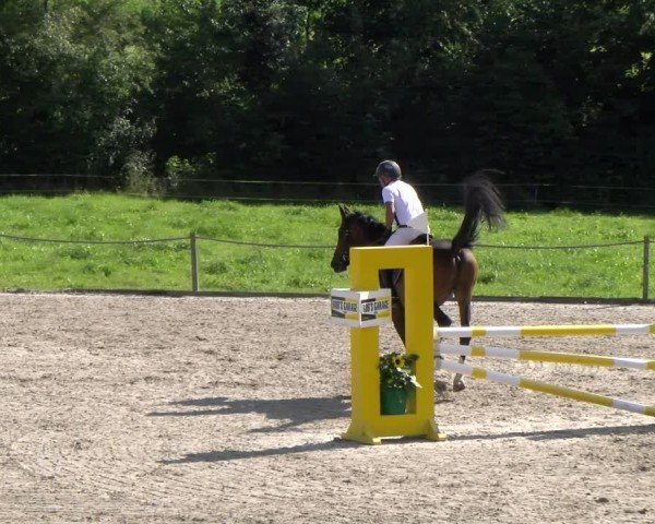 Reitturnier Gossau 2025
