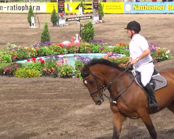 Großes Heidenheimer Reitturnier 2014