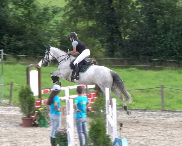 Reitturnier Gossau 2025