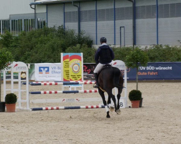 Reitturnier Jagstzell 2025