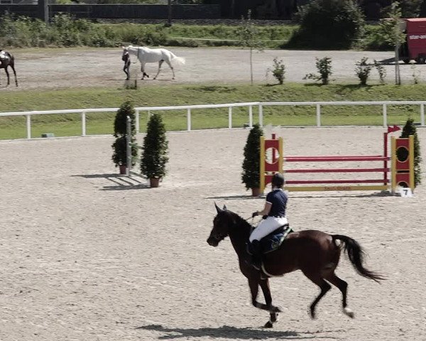 Pferdesporttage Bülach 2021
