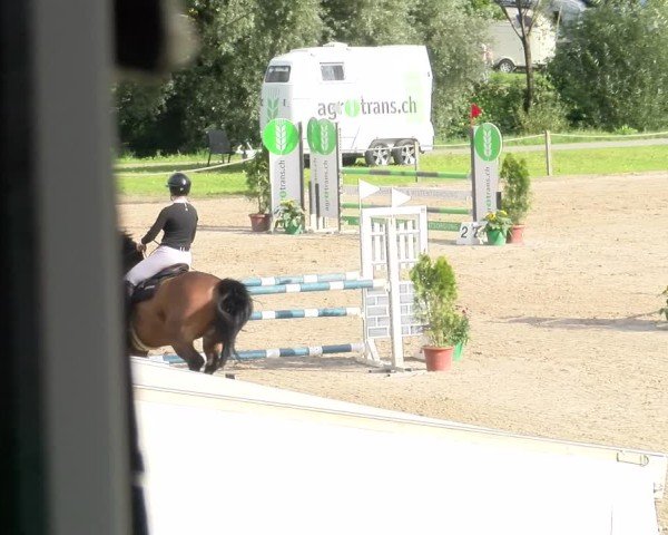 Reitturnier Gossau 2025