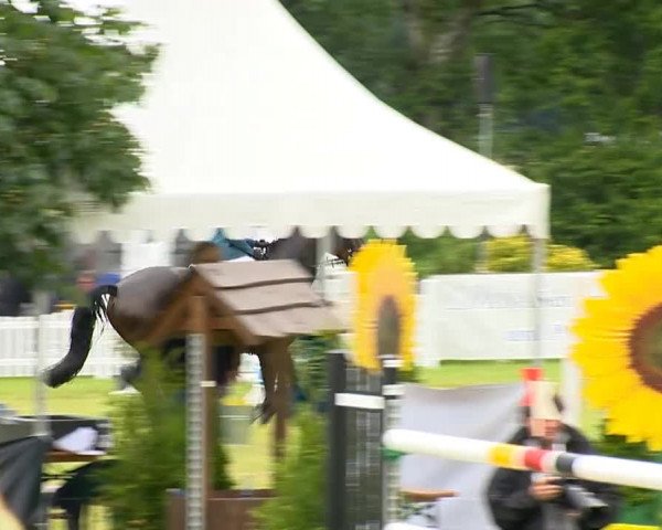 Großer Preis von Isernhagen 2014