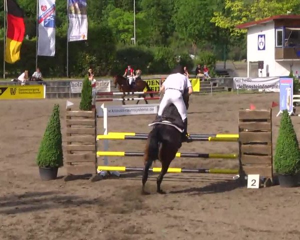 Großes Heidenheimer Reitturnier 2014