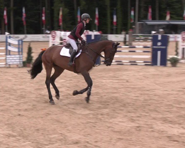 Reitturnier Ranshofen - Braunau am Inn 2025