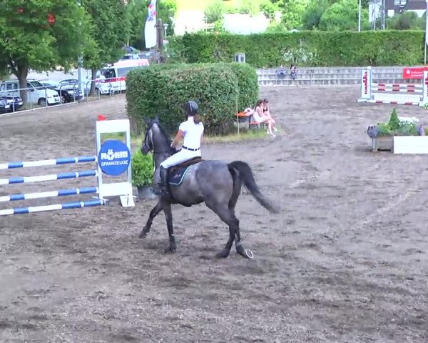Großes Heidenheimer Reitturnier 2014